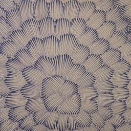 Programming Education on a Budget: Grants and Resources for Women and Mothers