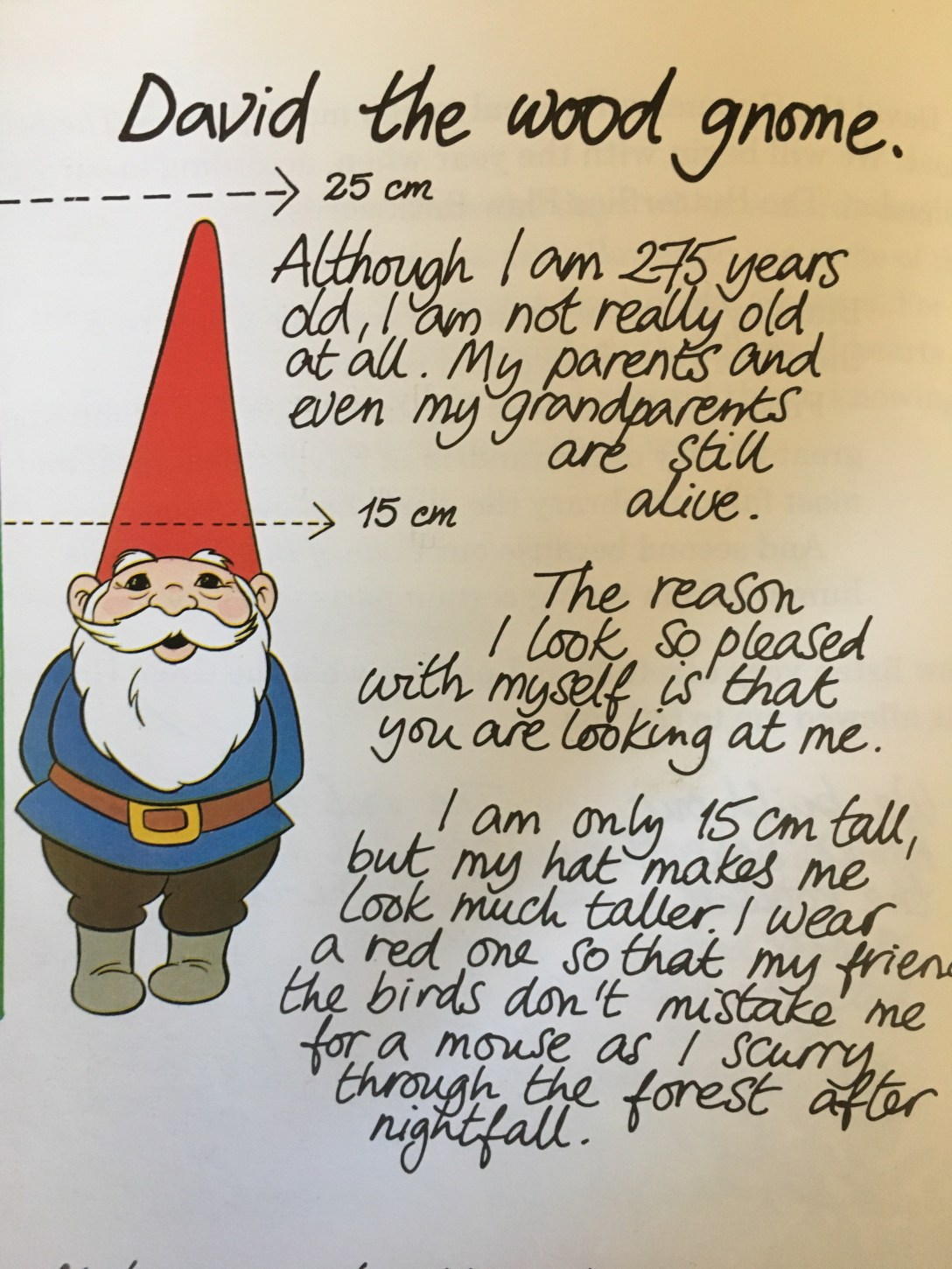 David-the-gnome-the-horse-and-crow