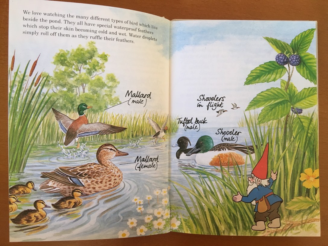 The-secret-book-of-gnomes