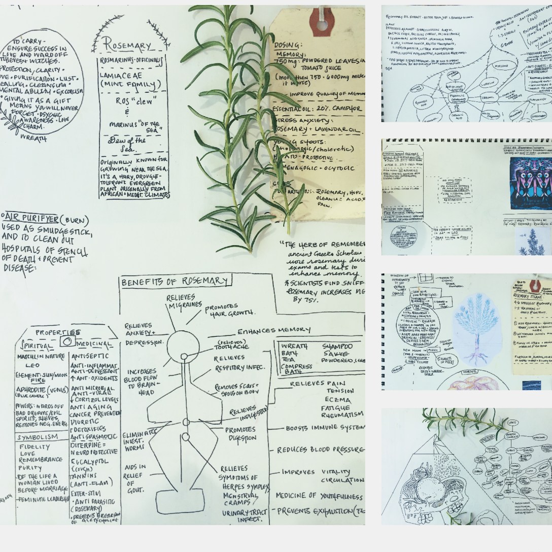 thehorseandcrow, mamoon, micromamoon, rosemaryofficialis